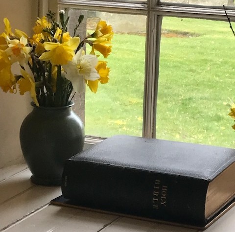 Rotator image unavailable